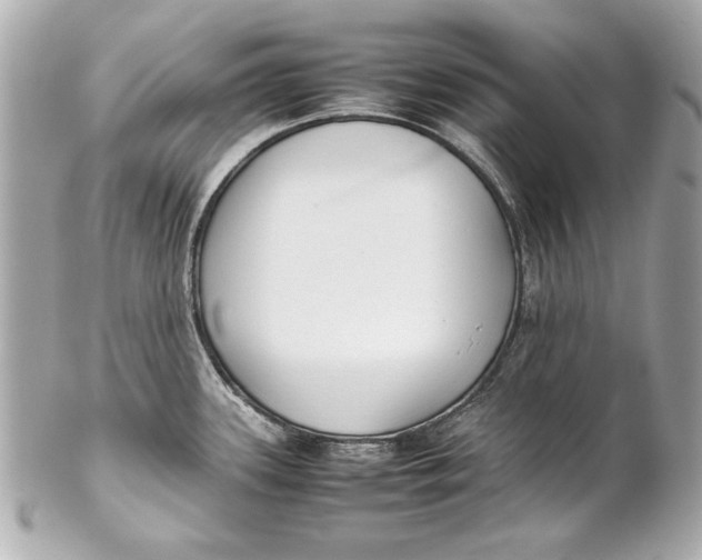 X0000102271339200808151855