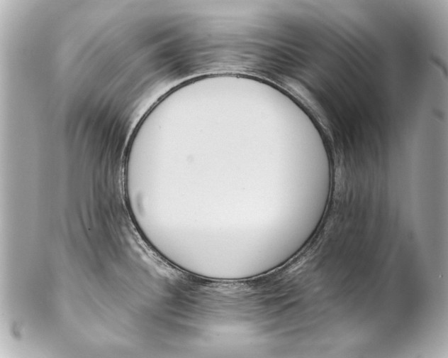 X0000102271340200808151855