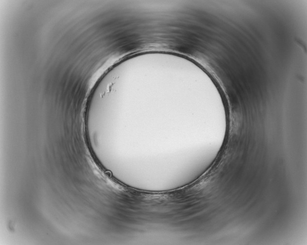 X0000102271341200808151855