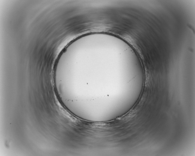 X0000102271342200808151855