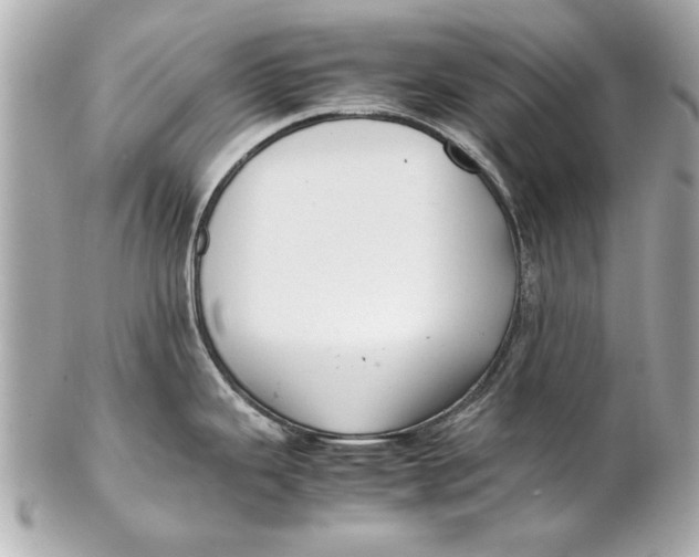 X0000102271343200808151855