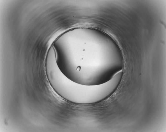 X0000102271344200808151855