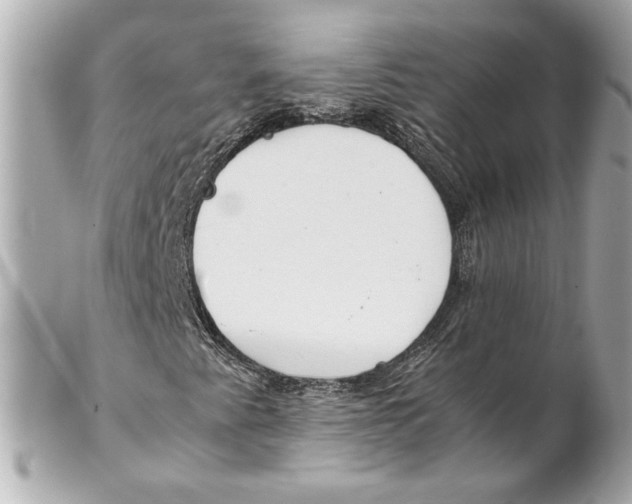 X0000102271345200808151855