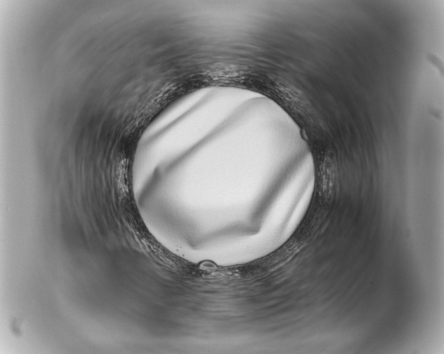 X0000102271346200808151855