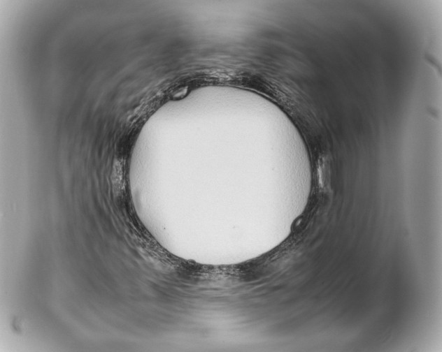 X0000102271347200808151855