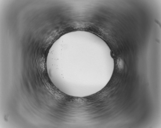 X0000102271348200808151855