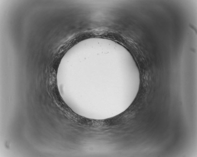 X0000102271349200808151855