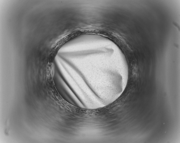 X0000102271350200808151854