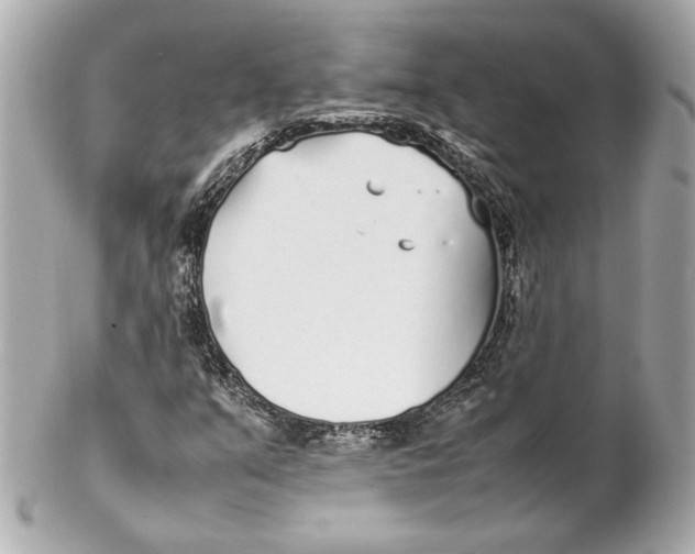 X0000102271351200808151854