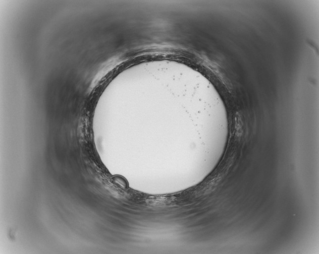 X0000102271352200808151854