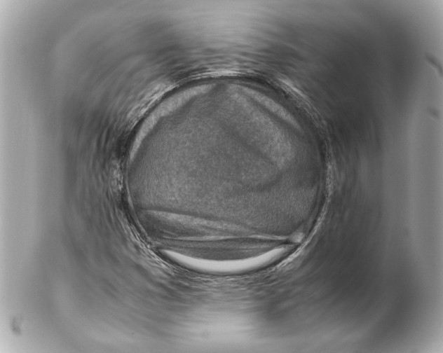 X0000102271353200808151854