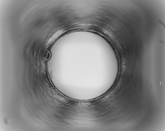 X0000102271354200808151854