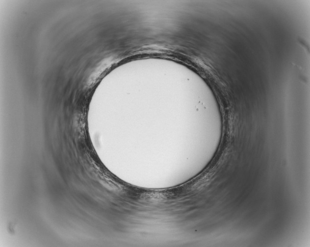 X0000102271355200808151854