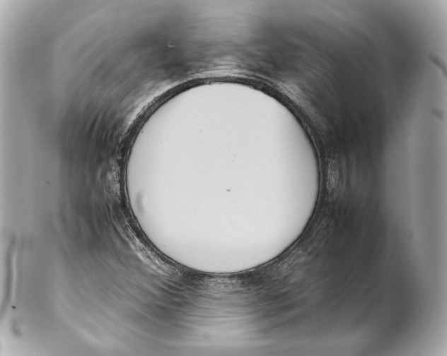 X0000102271356200808151854