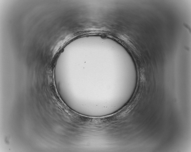 X0000102271357200808151854