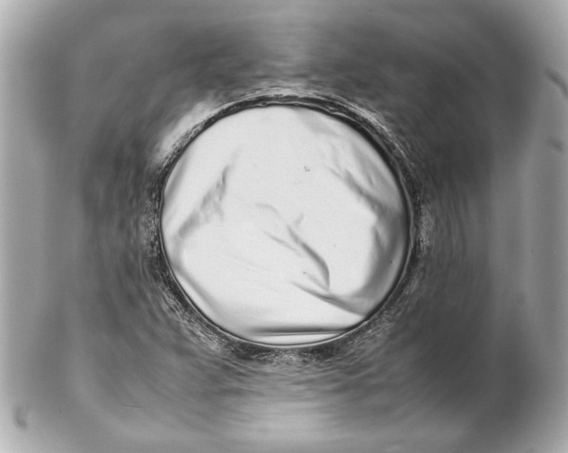 X0000102271359200808151854