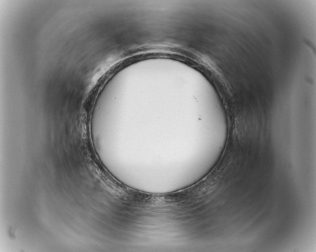 X0000102271360200808151854