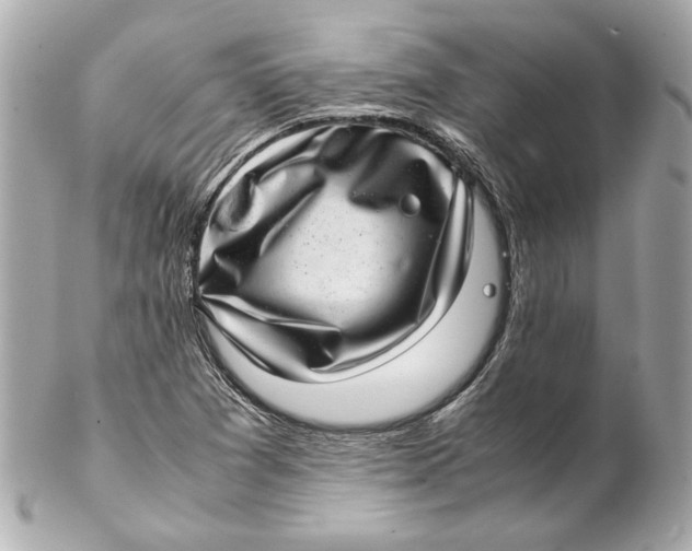 X0000102271361200808151854