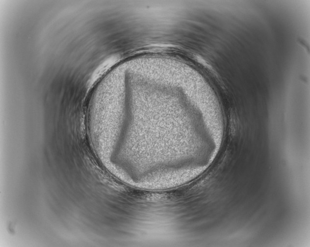 X0000102271362200808151854