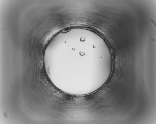 X0000102271363200808151854