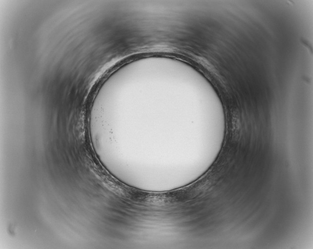 X0000102271364200808151854