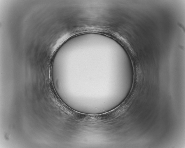 X0000102271365200808151854