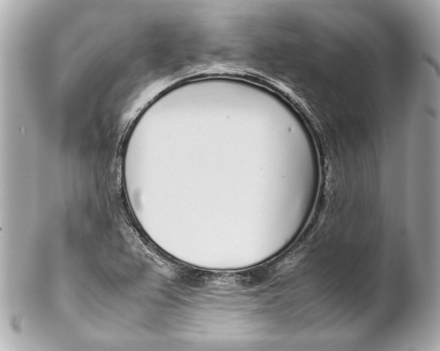 X0000102271367200808151854