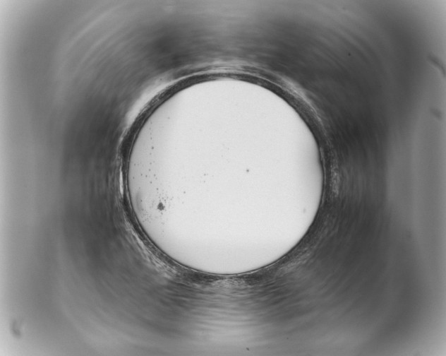 X0000102271368200808151854