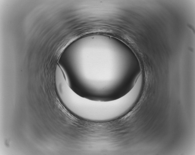 X0000102271369200808151854