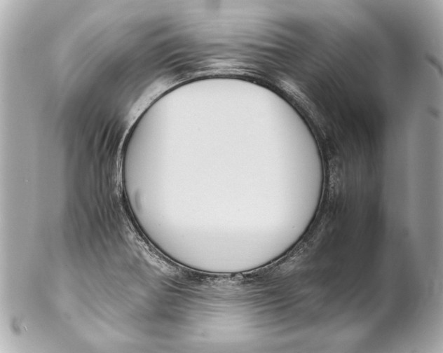 X0000102271370200808151854