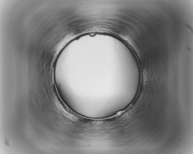 X0000102271371200808151854