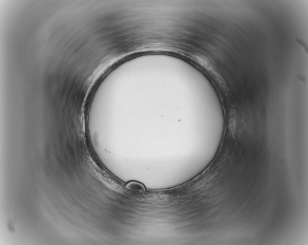 X0000102271372200808151854