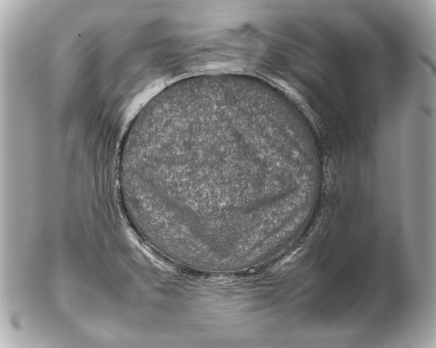 X0000102271373200808151854