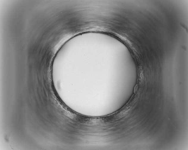 X0000102271375200808151854