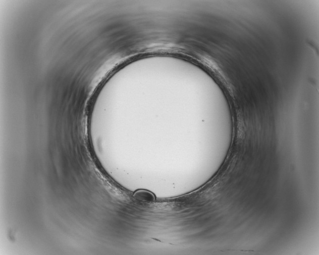 X0000102271376200808151854