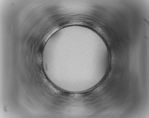 X0000102271377200808151854