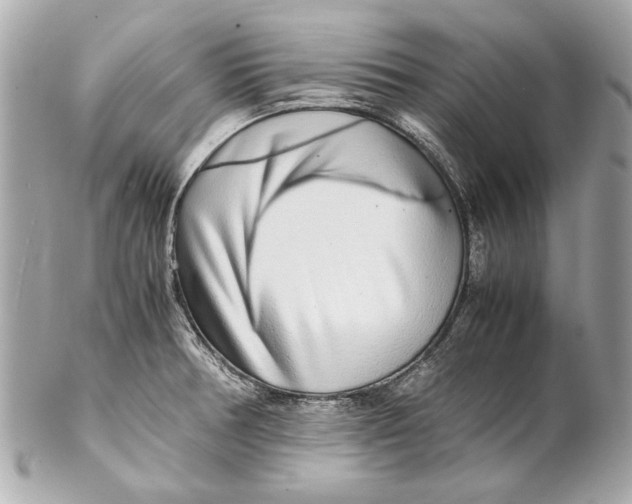 X0000102271378200808151854