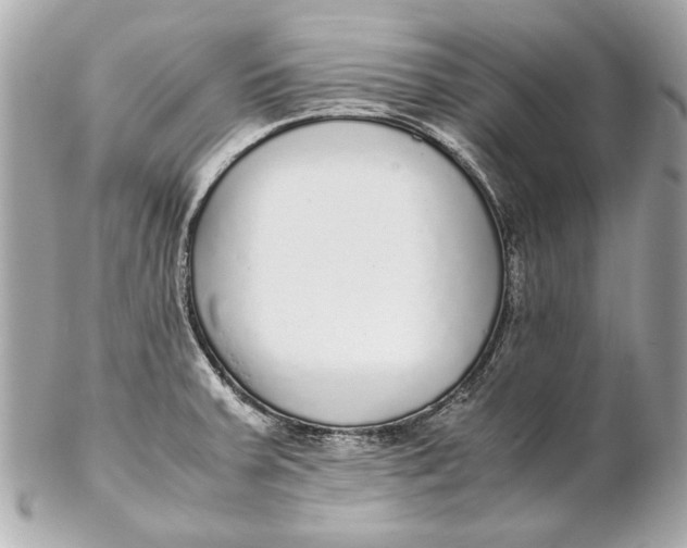 X0000102271379200808151854