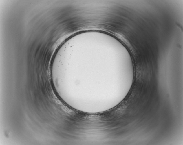 X0000102271380200808151854