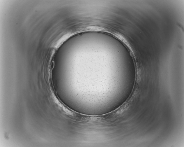 X0000102271381200808151854