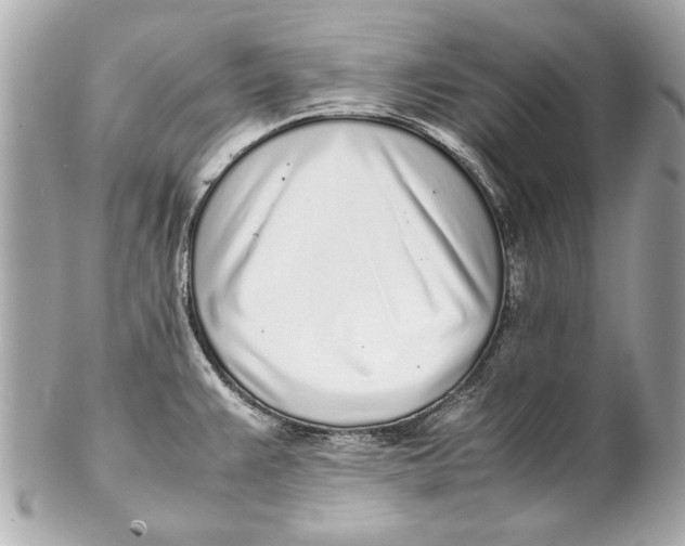 X0000102271383200808151854