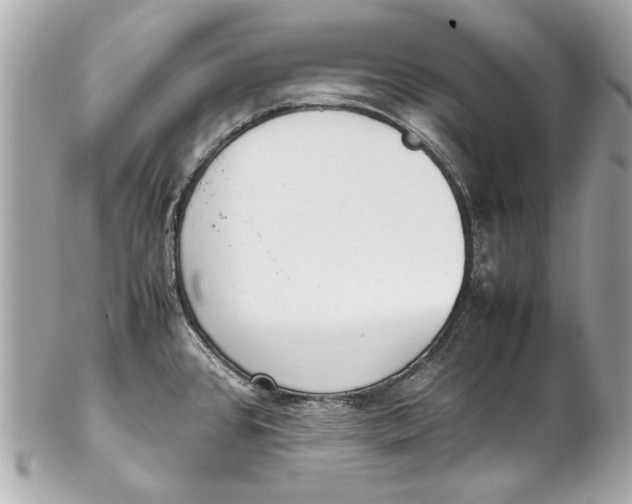 X0000102271384200808151854