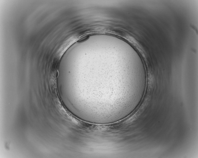 X0000102271385200808151854