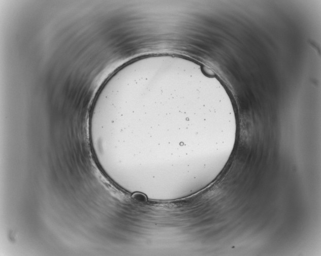 X0000102271388200808151854