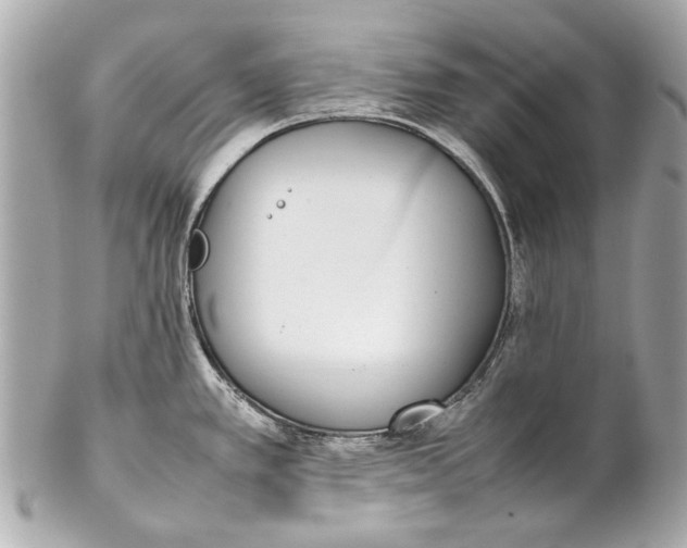 X0000102271389200808151854