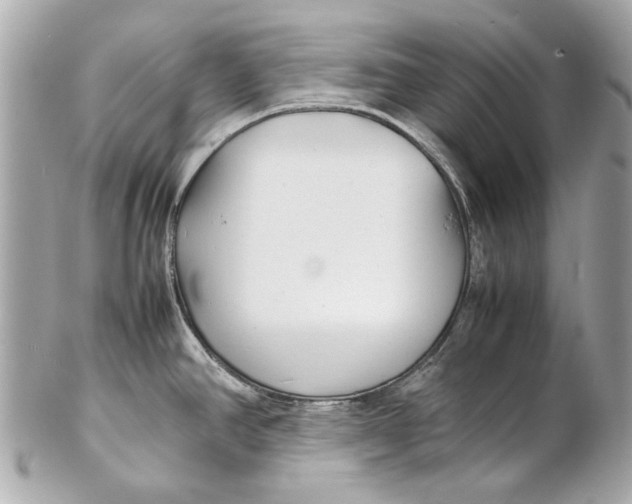 X0000102271390200808151854