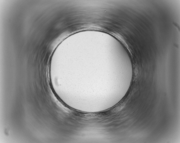 X0000102271391200808151854