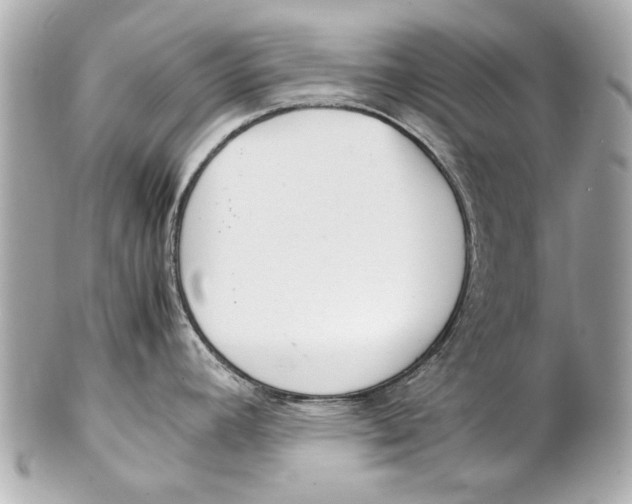 X0000102271392200808151854