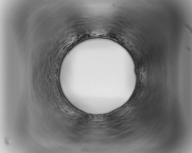 X0000102271393200808151853