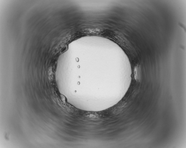 X0000102271395200808151853